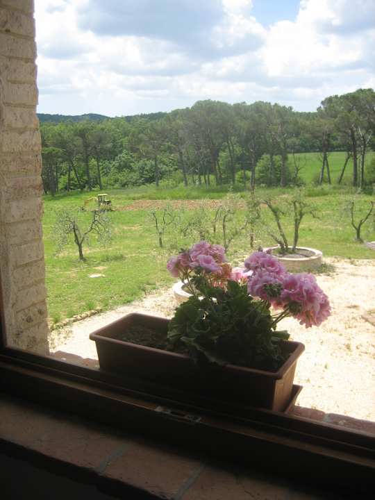 Blick aus dem Schlafzimmer Antico Casale