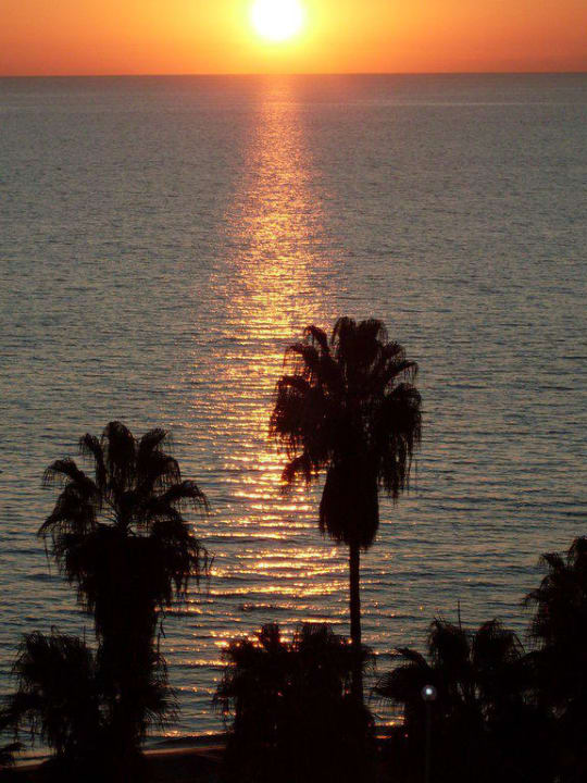 Karibik? Hotel Antik