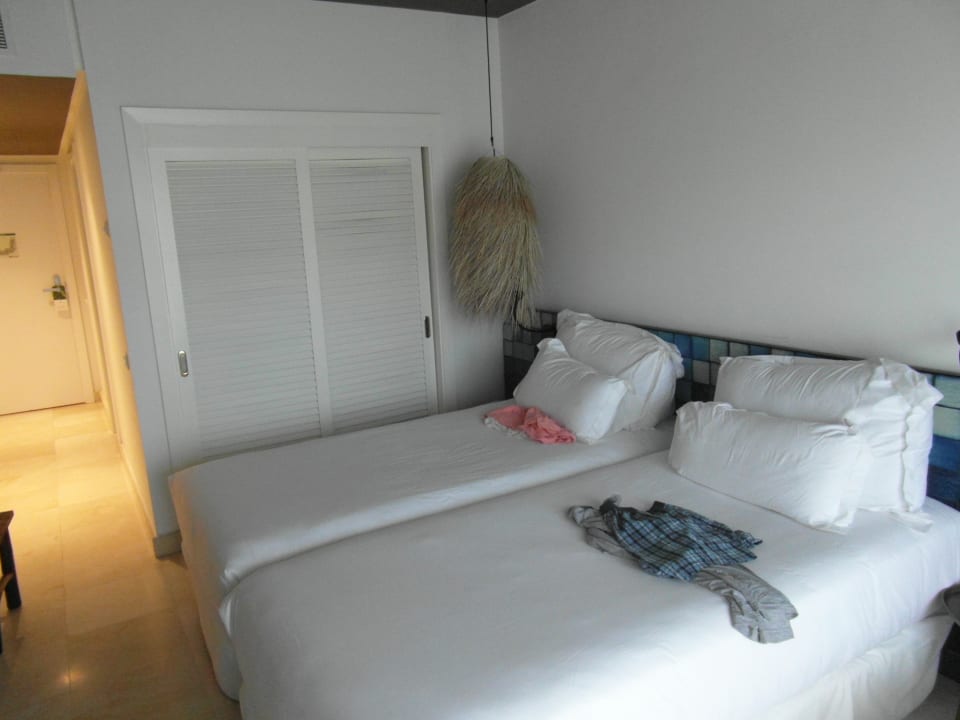 Zimmer Dreams Jardín Tropical