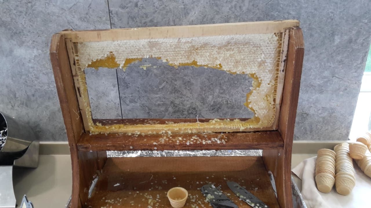 Honig Saturn Palace Resort Hotel