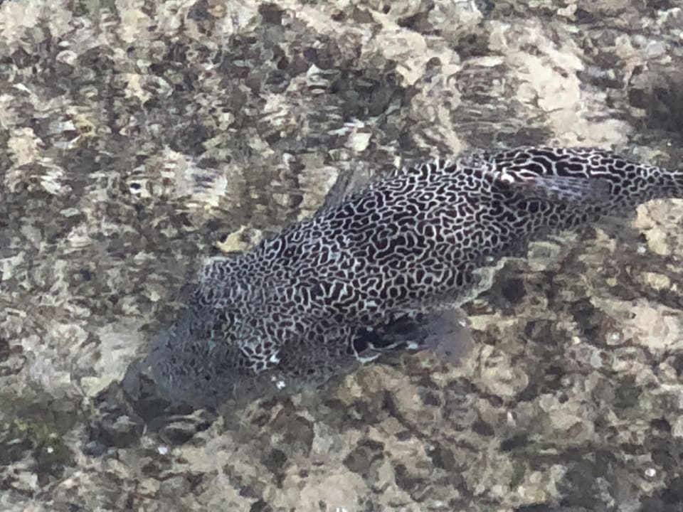 Strand Casa Mare Resort