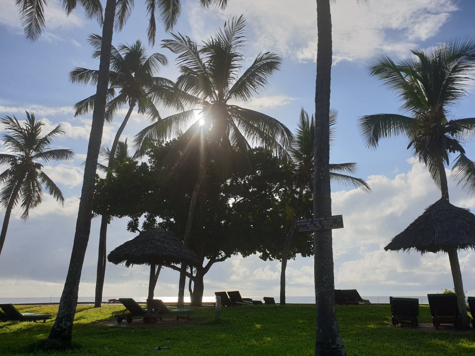 Gartenanlage Neptune Paradise Beach Resort & Spa