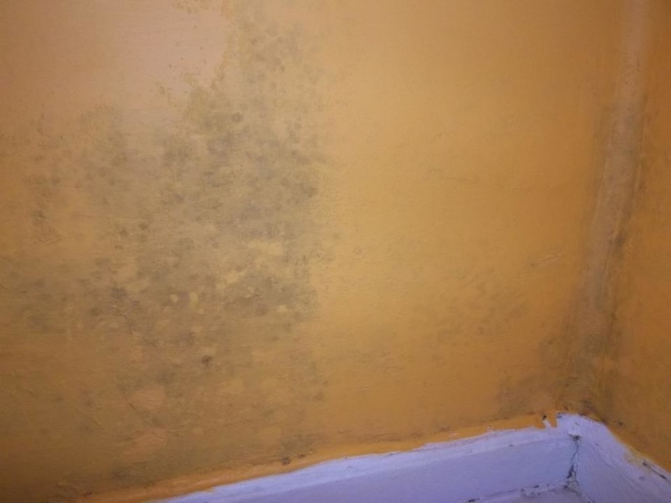 Esszimmer Schimmelfleck ca. 50 cm Durchmesser Hotel Atlantis Las Lomas