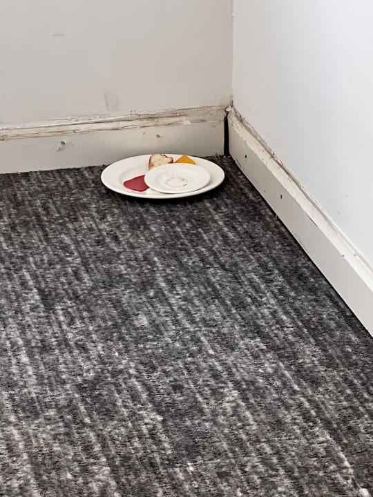 Sonstiges Well Palace Side