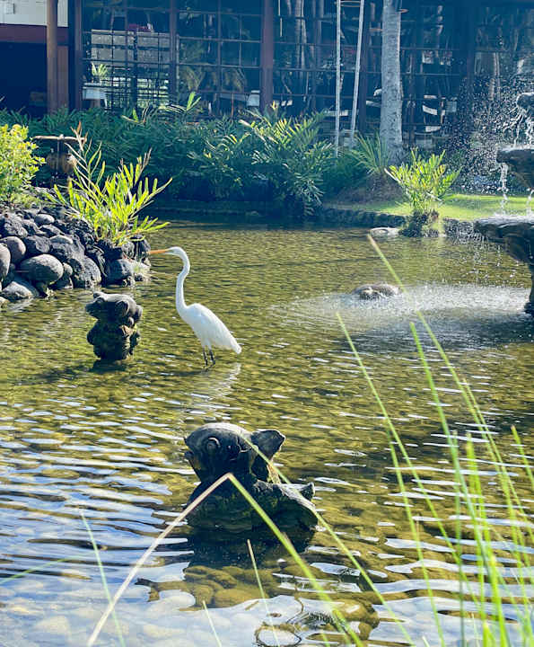 Gartenanlage Paradisus by Melia Bali