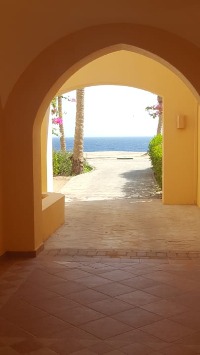 Gartenanlage Steigenberger Coraya Beach - Adults only