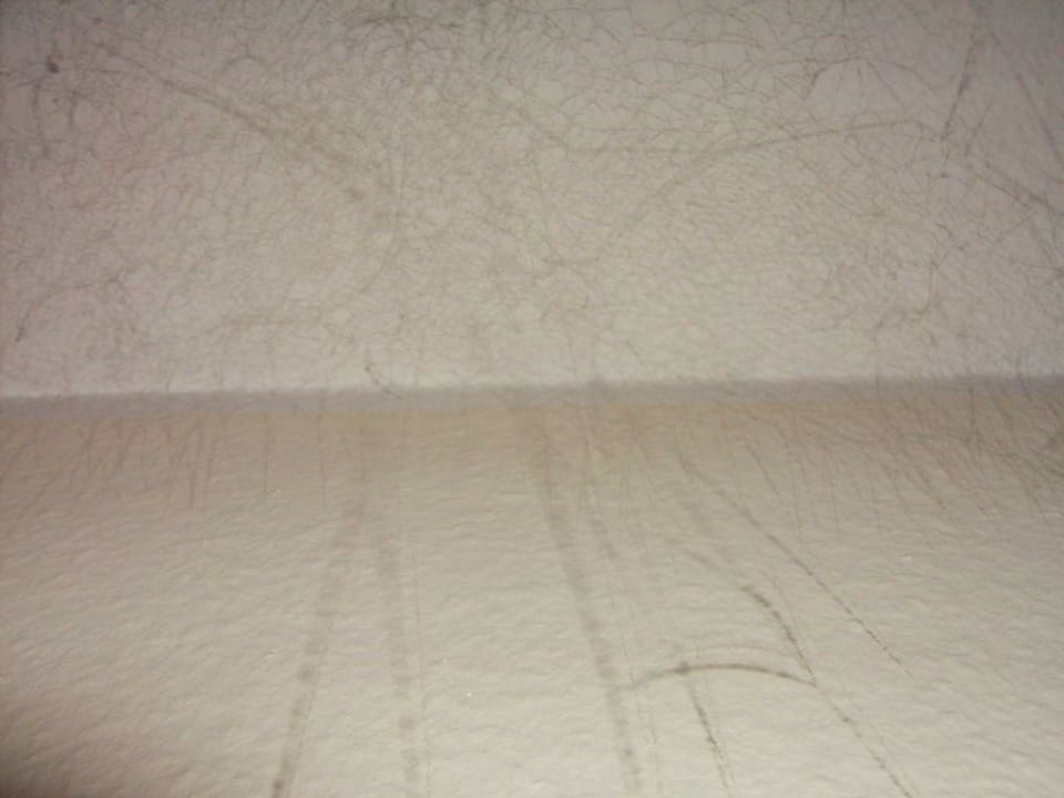 Spinnweben an der Decke acora Düsseldorf Living the City