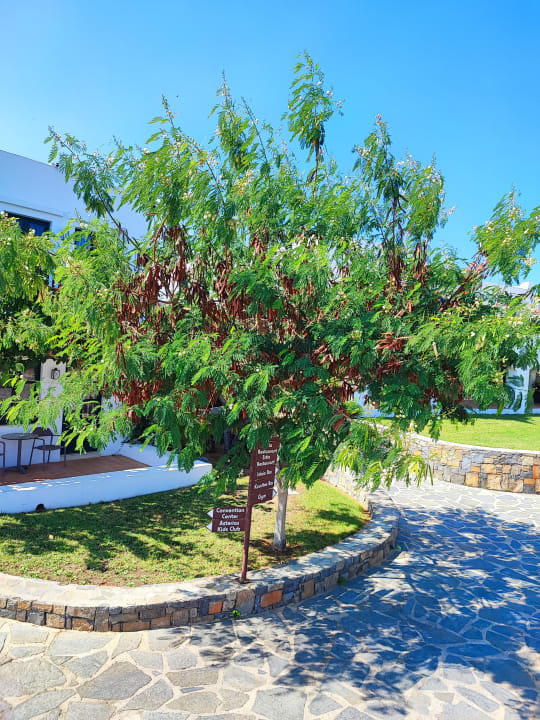 Außenansicht Creta Maris Resort