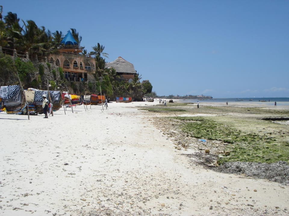 Spaziergang am Strand Reef Hotel Mombasa