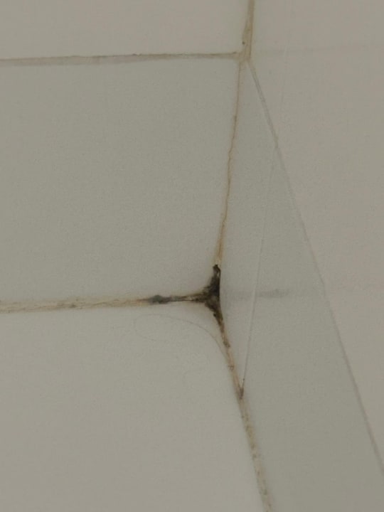 Zimmer Hotel Astoria Palace