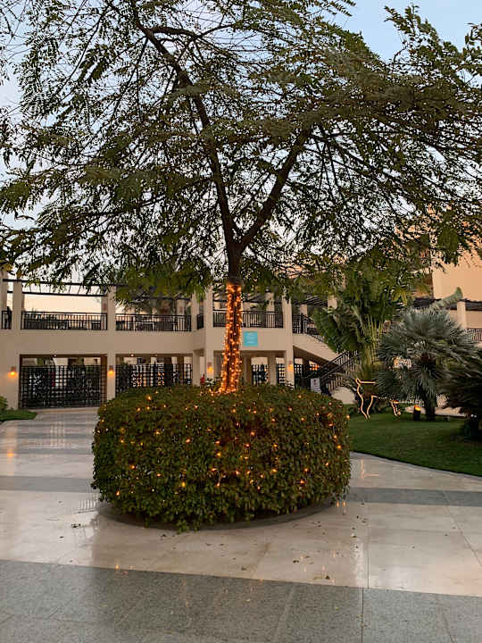 Gartenanlage Steigenberger Aqua Magic