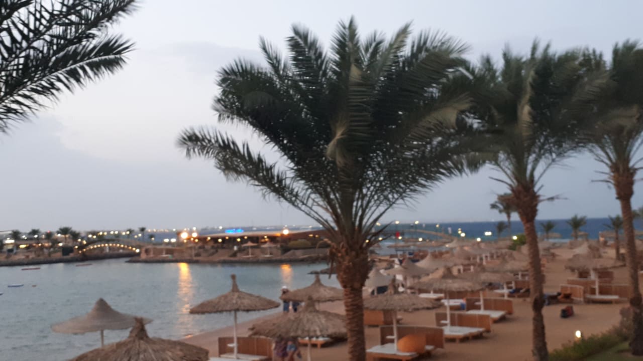 Ausblick Desert Rose