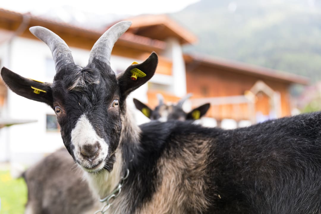 Sonstiges Pension Hieserhof