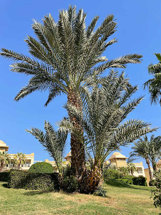 Außenansicht Serenity Alpha Beach