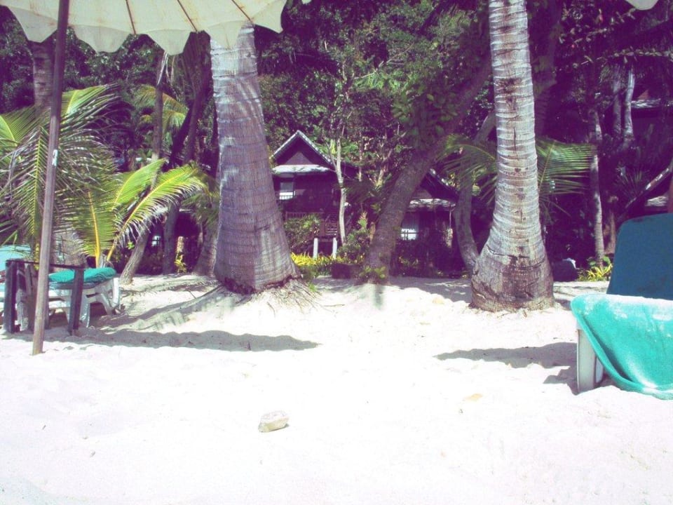 Widok z plaży w kierunku hotelu Ao Prao Resort