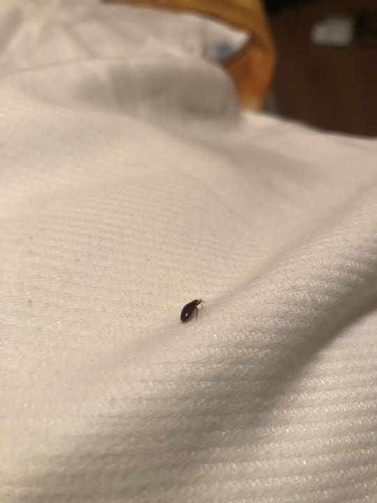 Zimmer Hotel Itzlinger Hof