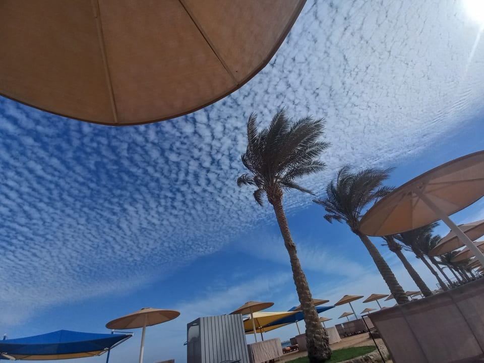 Strand Pickalbatros Royal Moderna Resort-Sharm El Sheikh