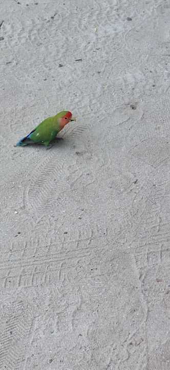 Strand Adaaran Select Meedhupparu Island Resort - Premium All Inclusive