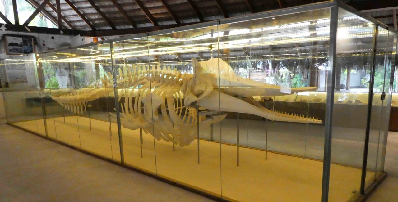 Sport & Freizeit Kuramathi Maldives