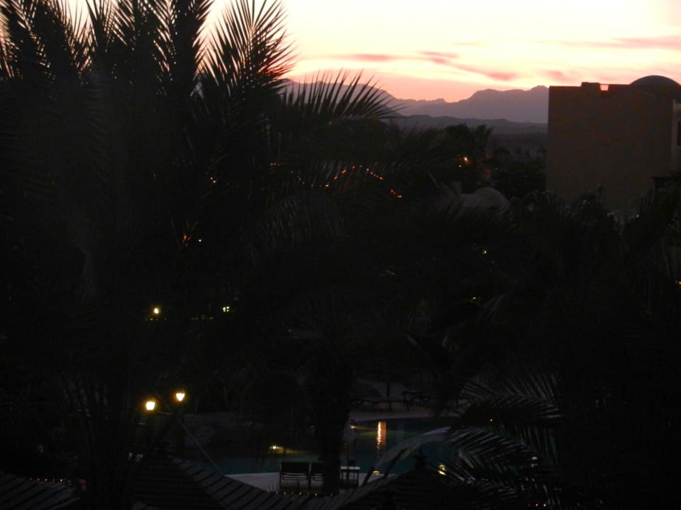 Abends Steigenberger Coraya Beach - Adults only