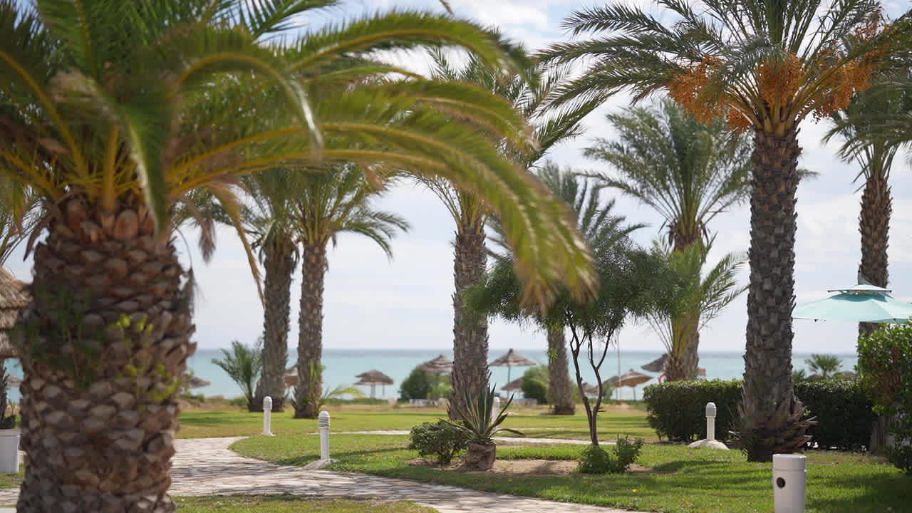 Gastro Royal Tulip Taj Sultan