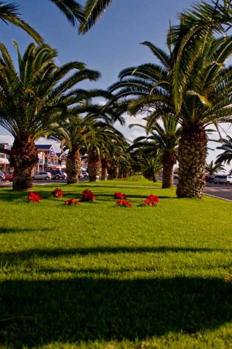 ©2012 by Th.H. MUR Hotel Faro Jandia & Spa Fuerteventura