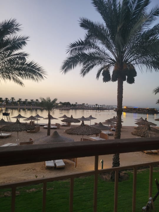 Ausblick Desert Rose