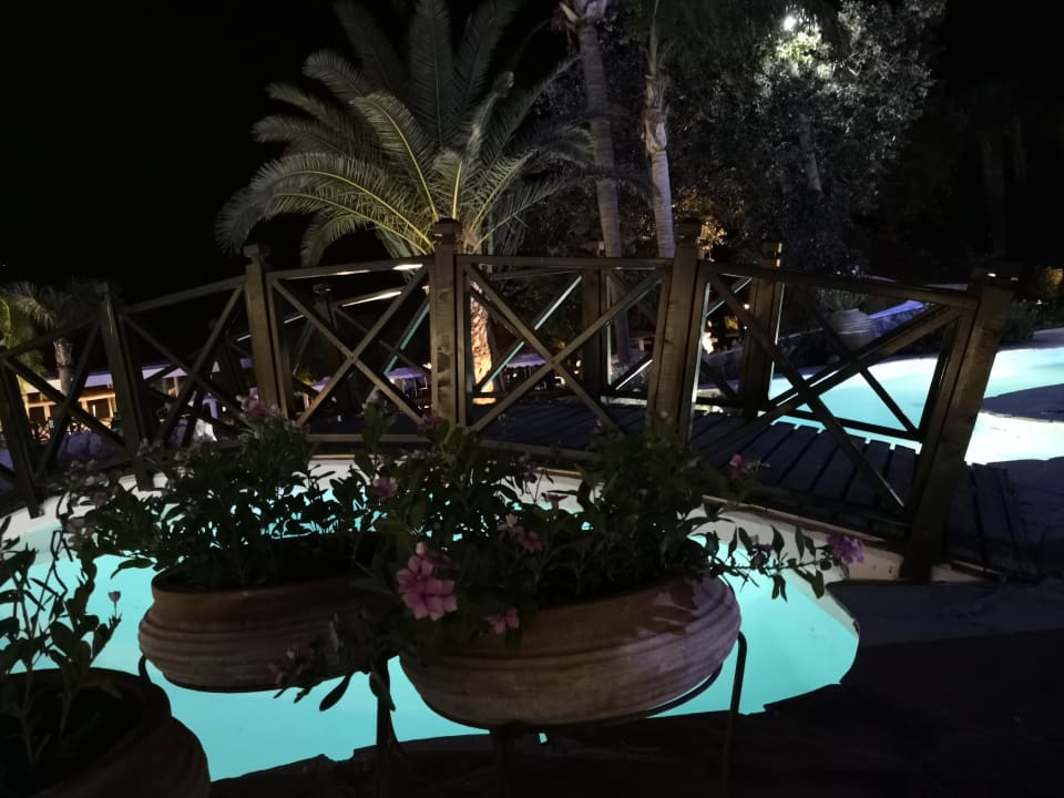 Gartenanlage Hotel Calypso Beach