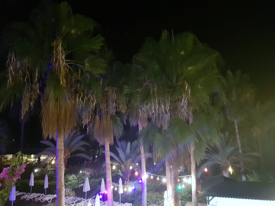 Ausblick Selectum Family Comfort Side