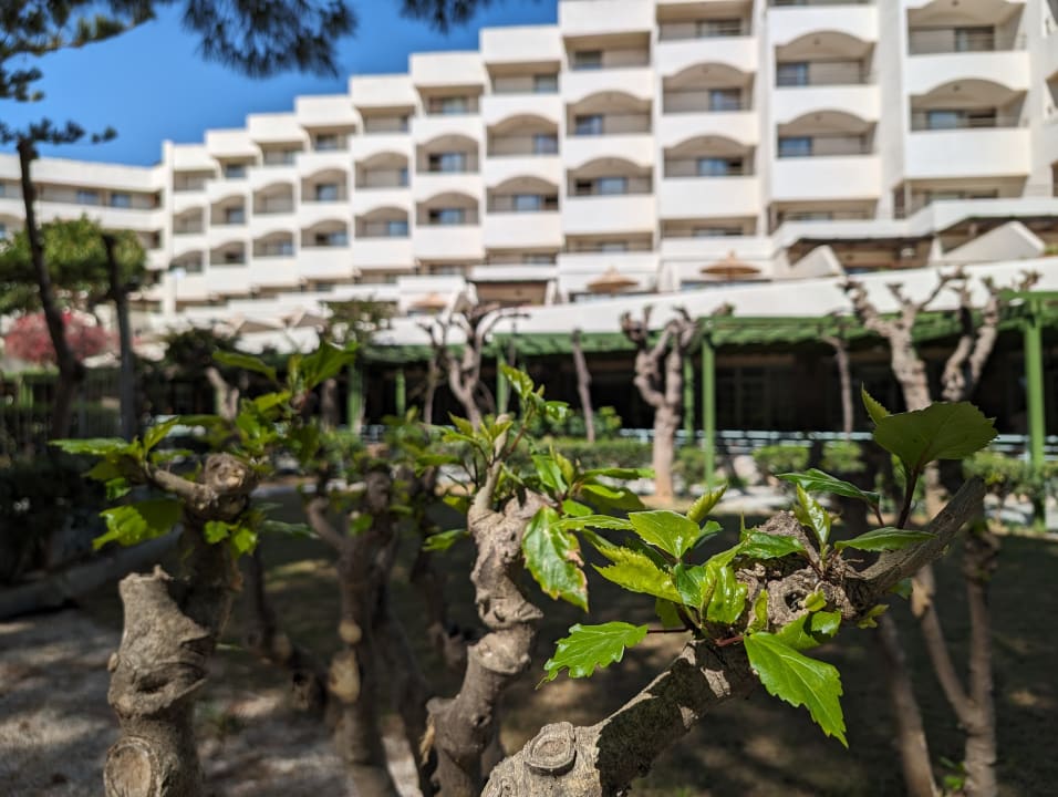 Gartenanlage Apollonia Beach Resort & Spa