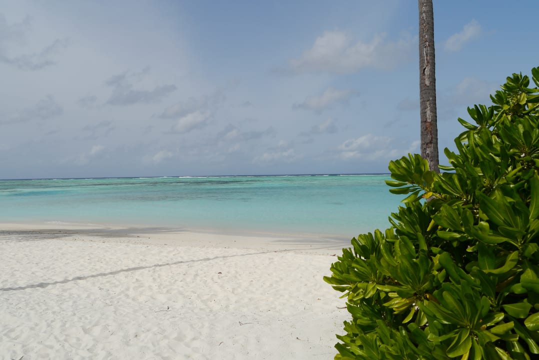 Strand Meeru Maldives Resort Island