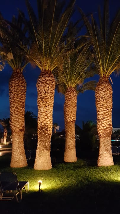 Gartenanlage Anissa Beach & Village