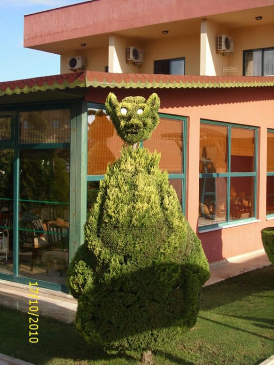 Katze Grand Seker Hotel