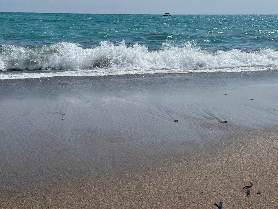 Strand Hotel Gardenia Beach