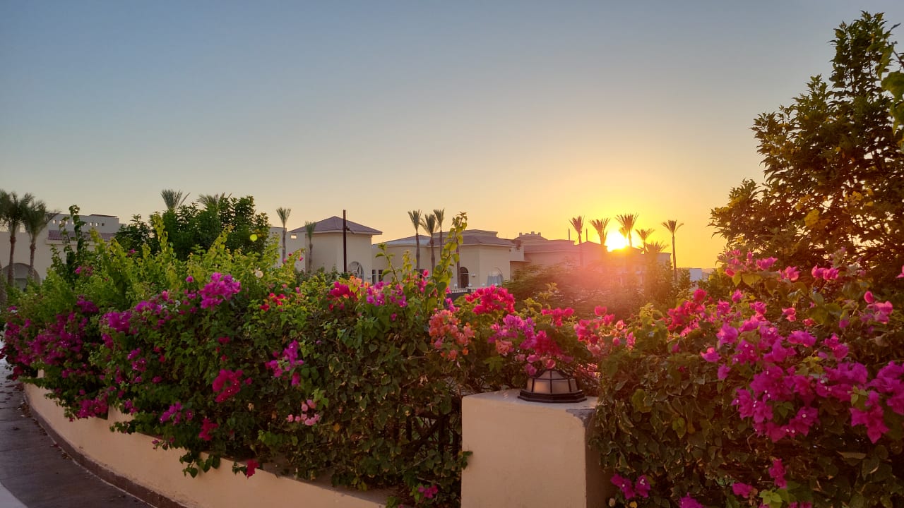 Gartenanlage Cleopatra Luxury Resort Makadi Bay