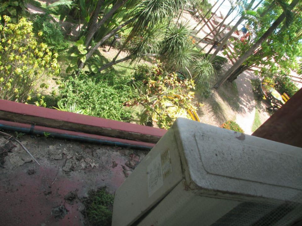 Garten. Basaya Beach Hotel & Resort