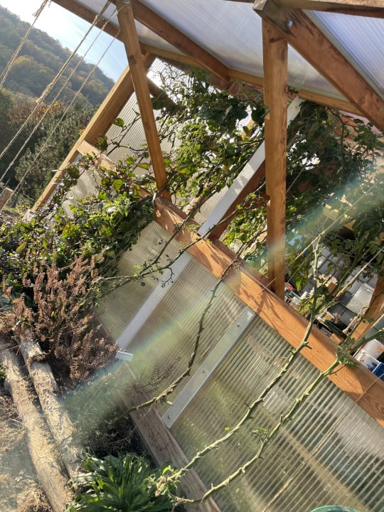 Gartenanlage Falkensteiner Balance Resort Stegersbach