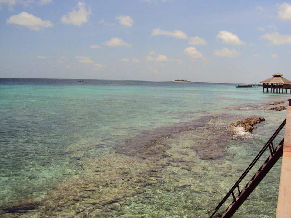 Blick von der Terrasse aufs Meer NH Collection Maldives Reethi Resort