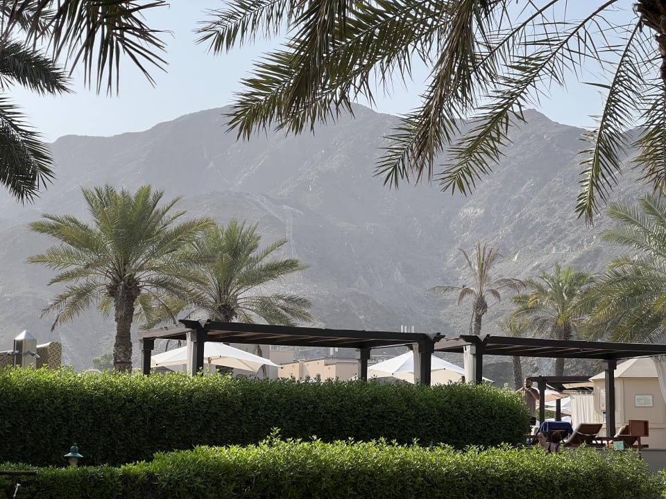 Außenansicht Miramar Al Aqah Beach Resort