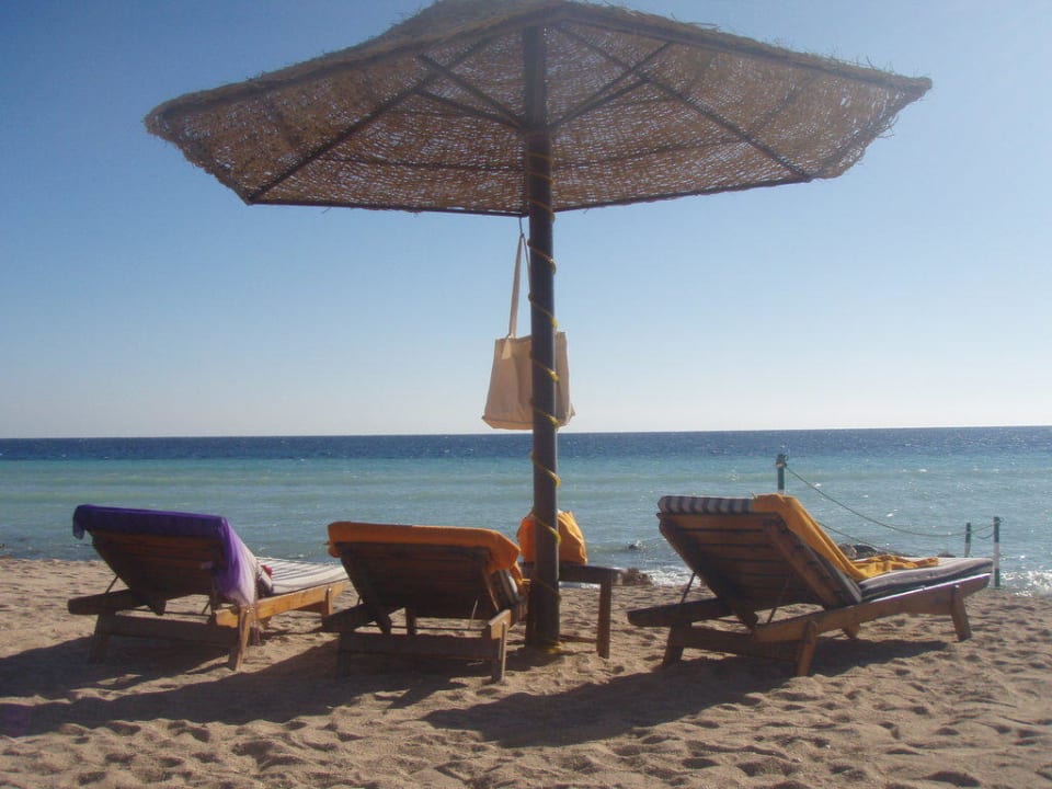 Urlaub pur Grand Makadi