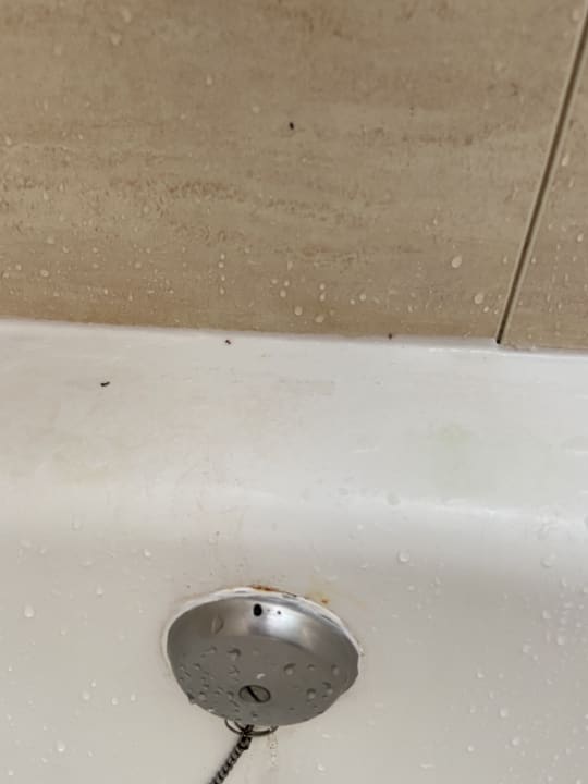 Zimmer Bull Costa Canaria & Spa - Adults only