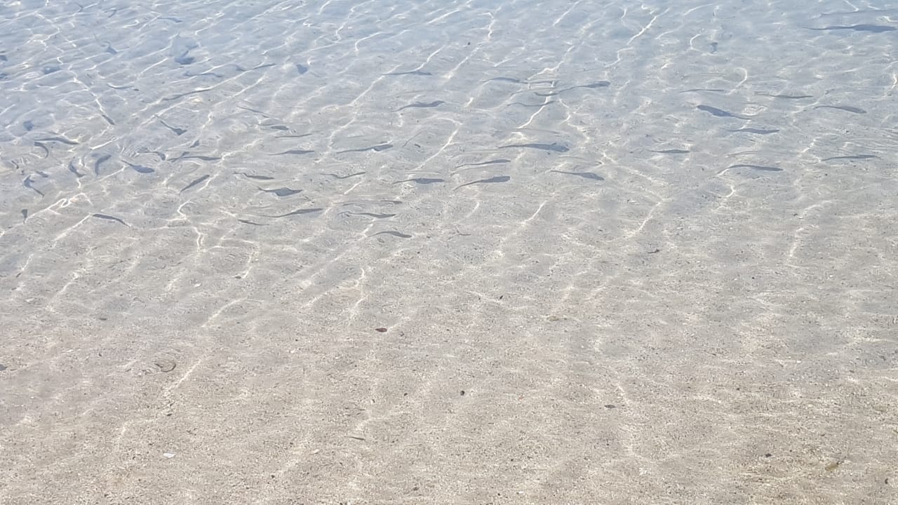 Strand Ölüdeniz Turquoise Hotel