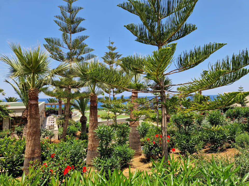 Gartenanlage Iberostar Waves Creta Panorama & Mare
