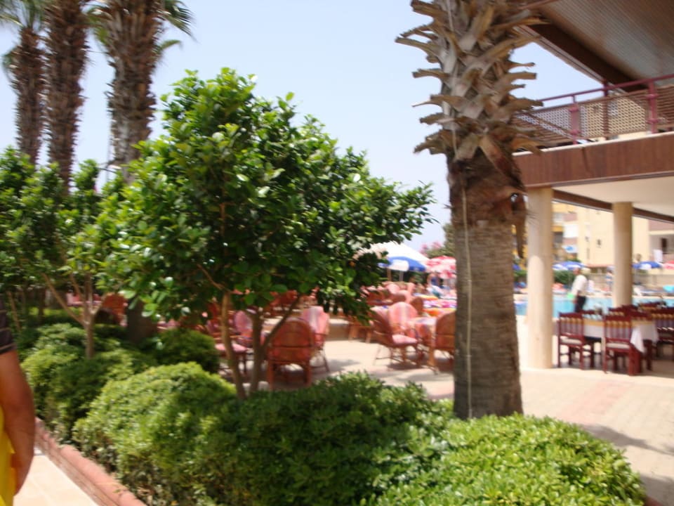 Hinten ist der Pool und rechts wird gegessen Doris Aytur Hotel