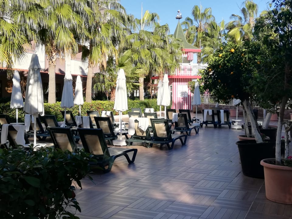 Gartenanlage Hane Family Resort