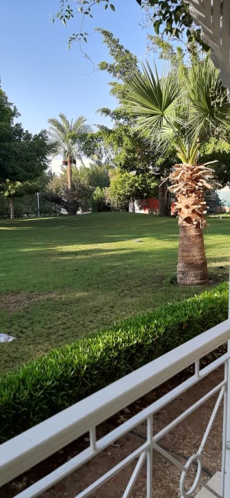 Gartenanlage Desert Rose