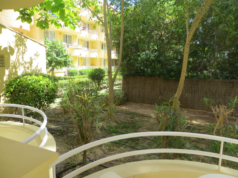 Blick vom Balkon (Zimmer 8001) Prinsotel La Pineda
