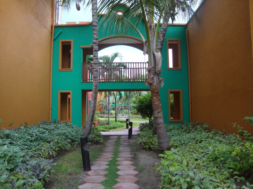 Hotel Catalonia Playa Maroma Catalonia Playa Maroma