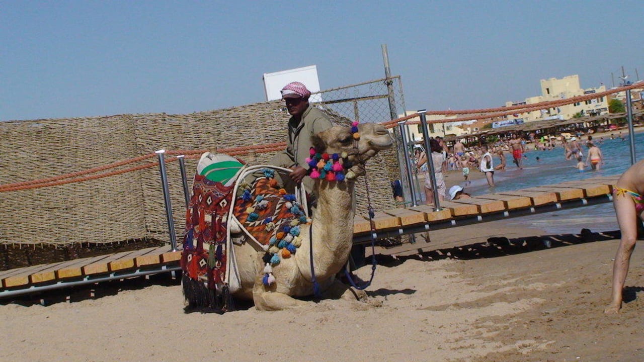 Bucht (hier gehts zu den anderen Hotels) Cleopatra Luxury Resort Makadi Bay