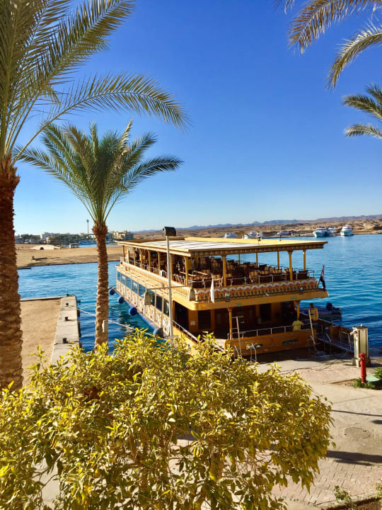 Ausblick Marina Resort Port Ghalib, a member of Radisson Individuals